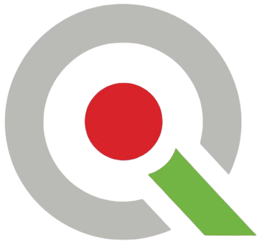 Qsingula logo